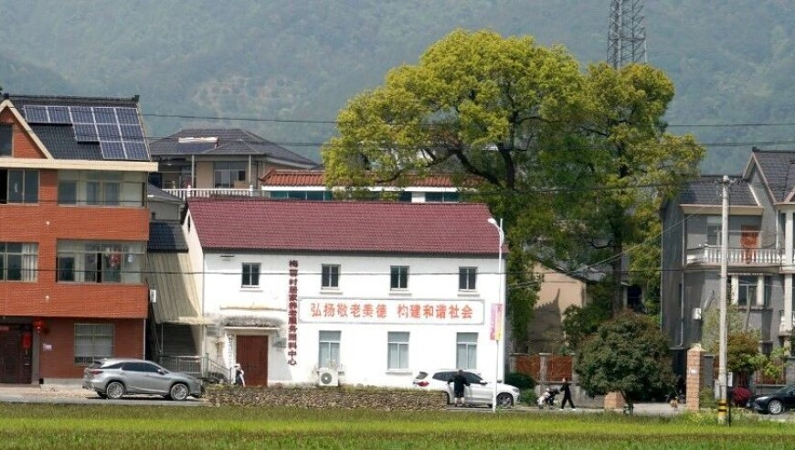 香港管家婆期期四肖四码,姐姐出嫁弟弟哭成泪人,创造力策略实施推广_公测版V2.37