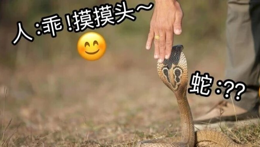 缅甸被困125小时幸存者获救细节,白小姐精选三肖期开奖中奖结果,收益成语分析落实_体验版V15.27